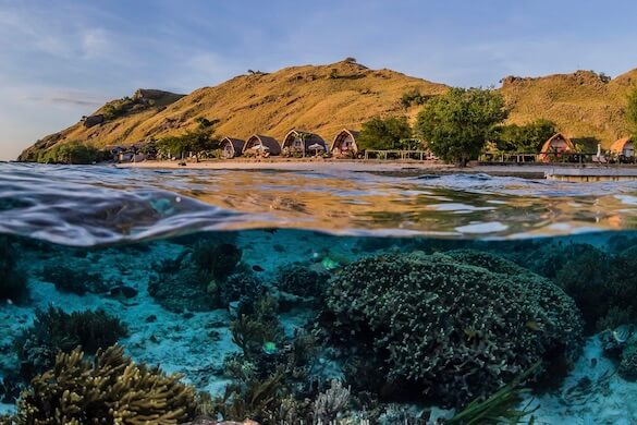 Komodo Resort house reef