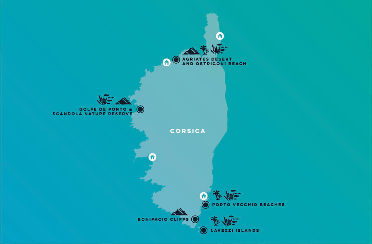 Corsica Snorkeling Trip - Planet Snorkeling Expeditions