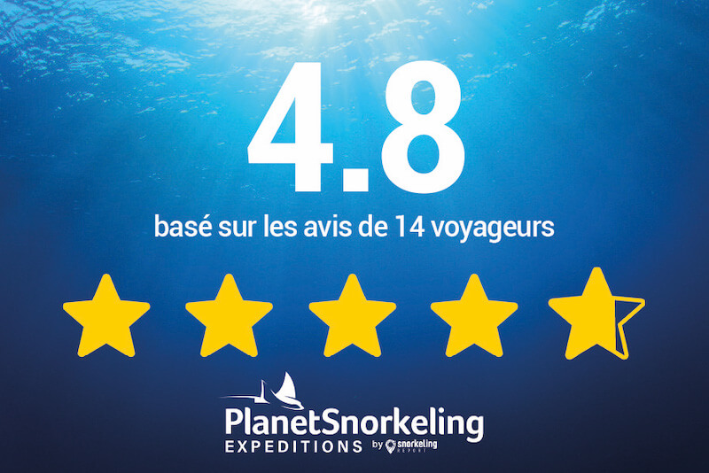 Avis clients Planet Snorkeling Expeditions